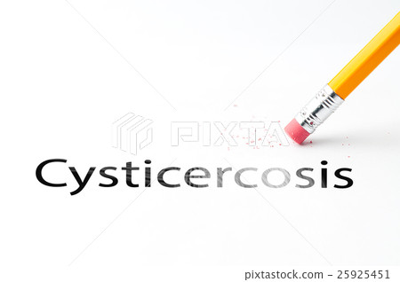 Pencil with eraser 25925451