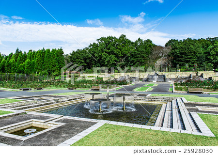 哈里瑪中央公園玫瑰園 哈里瑪中央公園玫瑰園 25928030