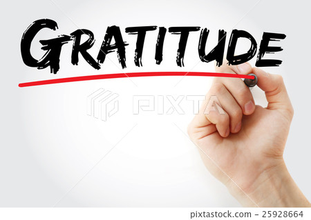 Hand writing Gratitude with marker Hand writing Gratitude with marker 25928664