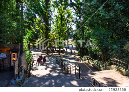 Tokyo Inokashira Park Tokyo Inokashira Park 25928866