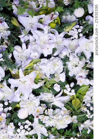 Flower background Flower background 25930390