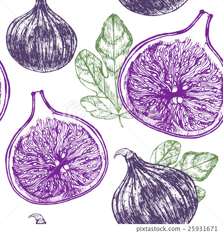 Fig Fruit Hand Draw Sketch Background Pattern 25931671