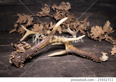 Deer Antlers On Wooden Background 25932711