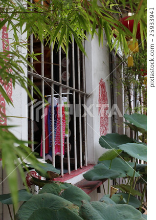 Carp streamer 25933941