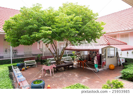 Lignum Vitae tree or Ton Kaew Chao Jom 25933985