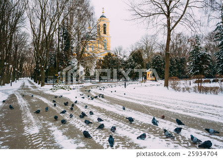 Peter and Paul Cathedral in Gomel, Belarus. Winter 25934704