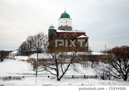 View of the Vyborg Castle View of the Vyborg Castle 25934986