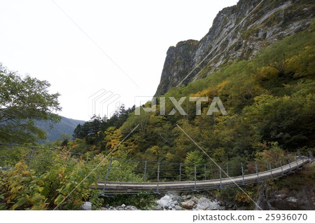 The way to the lazy river (Motoya Bridge) The way to the lazy river (Motoya Bridge) 25936070