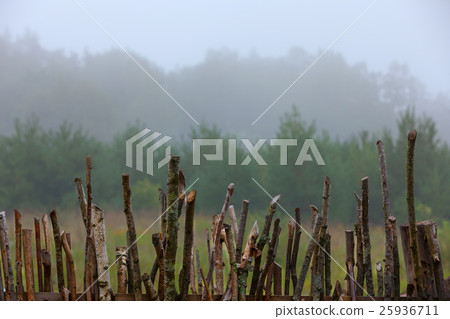 The fence of wooden sticks in a forest with fog The fence of wooden sticks in a forest with fog 25936711