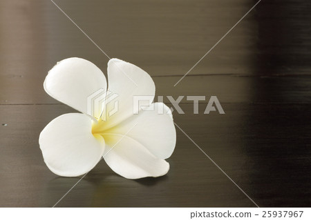 Plumeria on brown spa table. 25937967