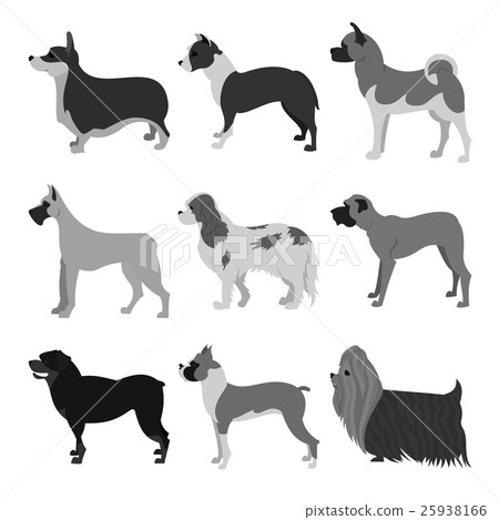 Dogs flat set Dogs flat set 25938166