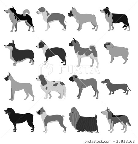 Dogs flat set 25938168