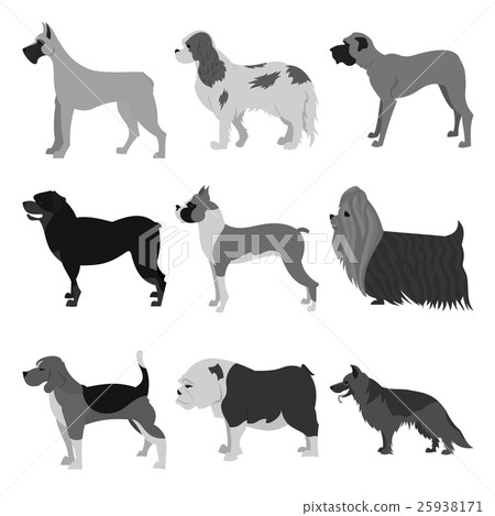 Set of dog breeds Set of dog breeds 25938171