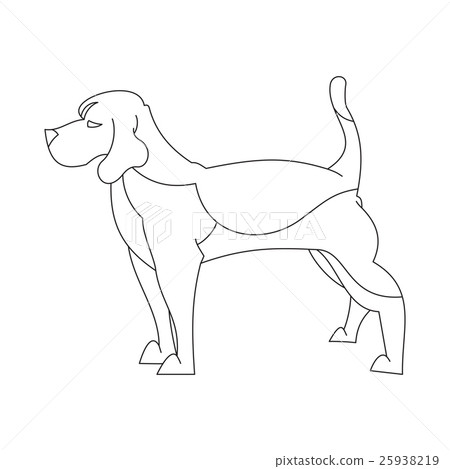 Beagle dog in line 25938219