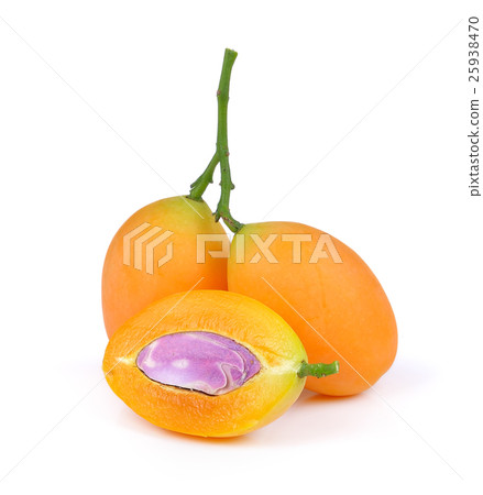 sweet marian plum thai fruit isolated  25938470