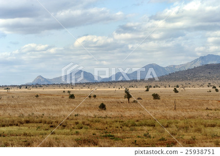Landscape in Tsavo National Park, Kenya Landscape in Tsavo National Park, Kenya 25938751