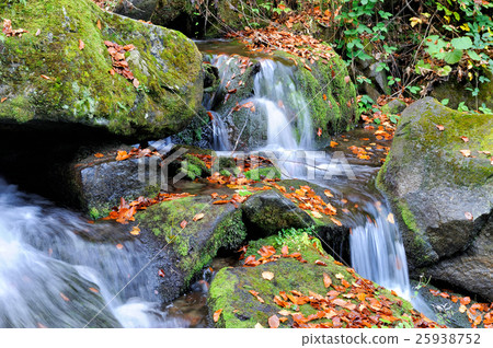 Mountain river in the autumn forest Mountain river in the autumn forest 25938752
