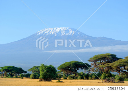 Snow on top of Mount Kilimanjaro 25938804