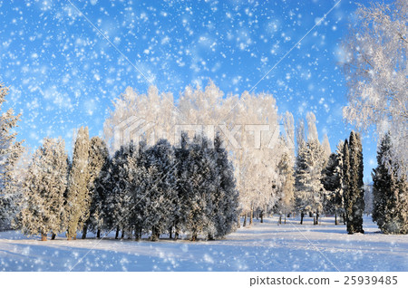 Winter park 25939485