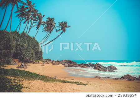 Tropical beach 25939654