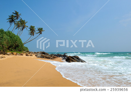 Tropical beach 25939656