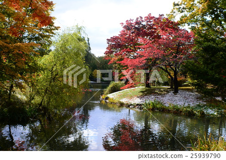 中島公園 25939790