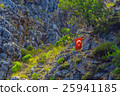 Turkish flag on tree in mountains 25941185