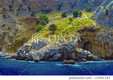 Rocky cliffs covered with trees in Alanya 25941187