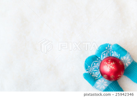 Christmas Xmas Winter Holiday Concept 25942346