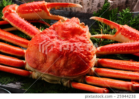 Snow crab Snow crab 25944238