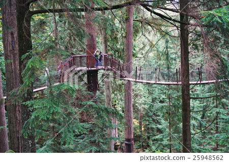 Activities in Canada Activities in Canada 25948562