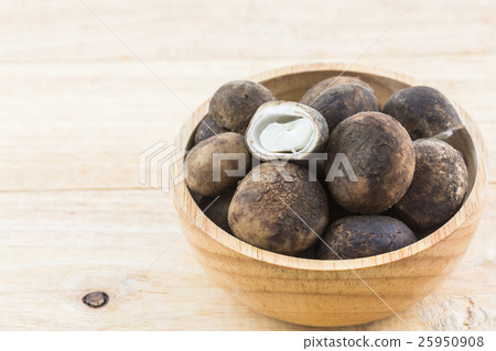 Sliced Barometer Earthstars mushroom. 25950908