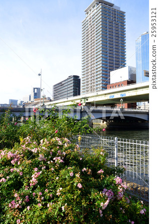 大阪中之島的風景 25953121