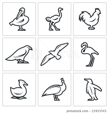 Birds icon set Birds icon set 25953543