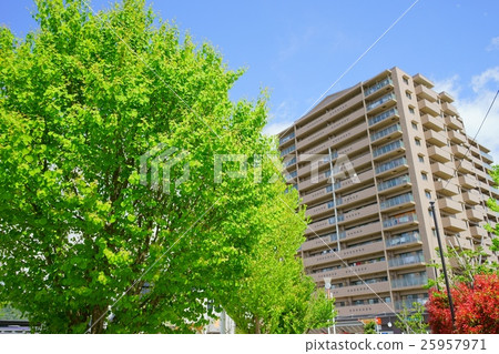 Implantation in front of the station and condominium Implantation in front of the station and condominium 25957971