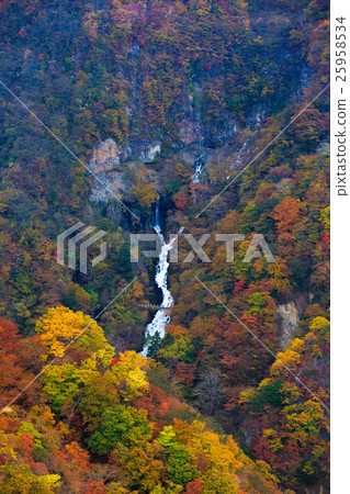 [Tochigi] Akechidaira Observatory, Shiraun Falls 25958534