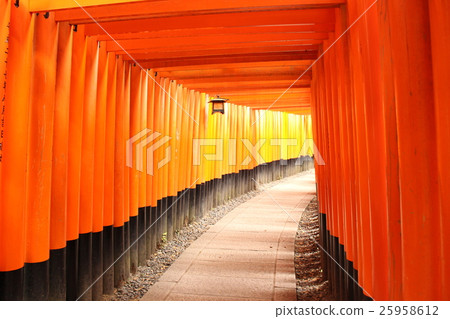 Torii Torii 25958612
