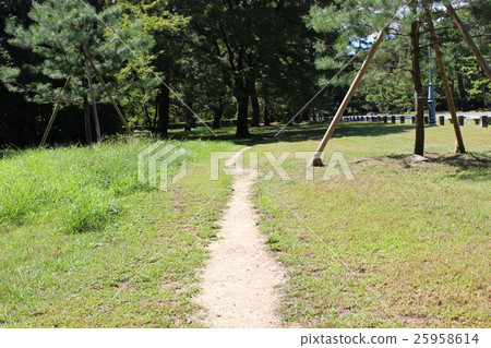 Path Path 25958614