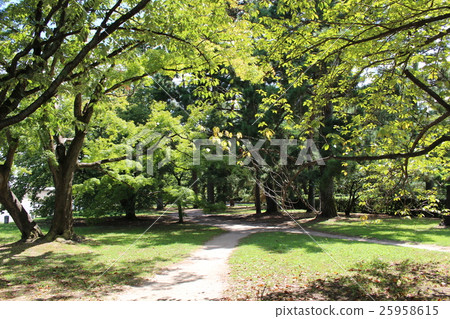 park park 25958615