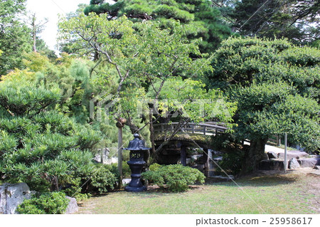 Japanese style garden Japanese style garden 25958617