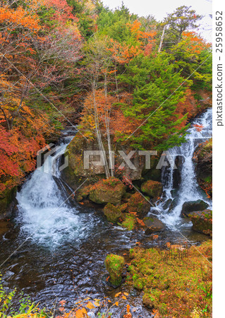 [Tochigi] Nikko Ryuzunotaki 25958652