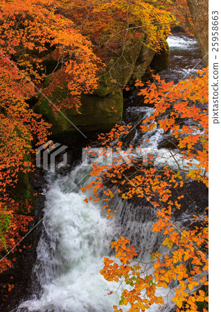 [Tochigi] Nikko Ryuzunotaki 25958663