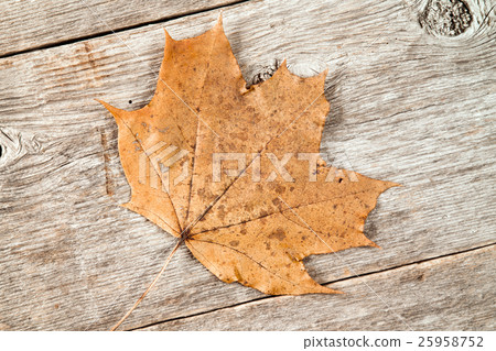 Old rusty leaf on wooden planks Old rusty leaf on wooden planks 25958752