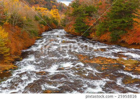 [Tochigi] Nikko Ryuzu Falls 25958816