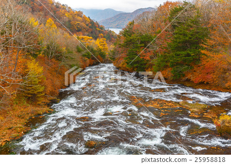 [Tochigi] Nikko Ryuzu Falls 25958818