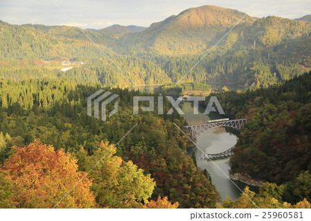 Tidemi Line Tidemi Line 25960581