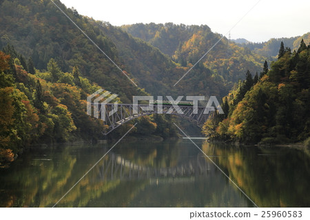 Tidemi Line Tidemi Line 25960583