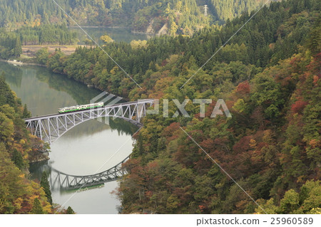 Tidemi Line 25960589