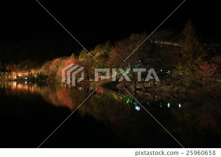 Mt. Chisui's autumn leaves light up 2 Mt. Chisui's autumn leaves light up 2 25960658