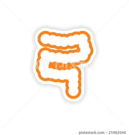 paper sticker on white background human intestine 25962048